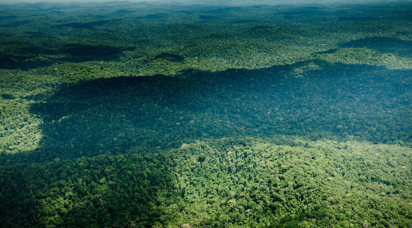 Vue aérienne de la réserve biologique d'Uatumã, Amazonas (Brésil)