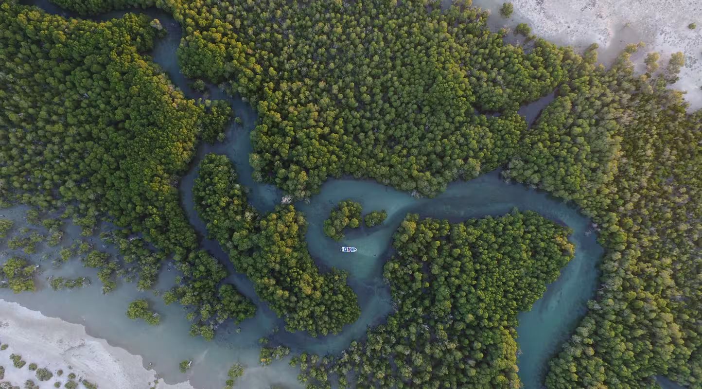 Vue aérienne d'une mangrove à Madagascar