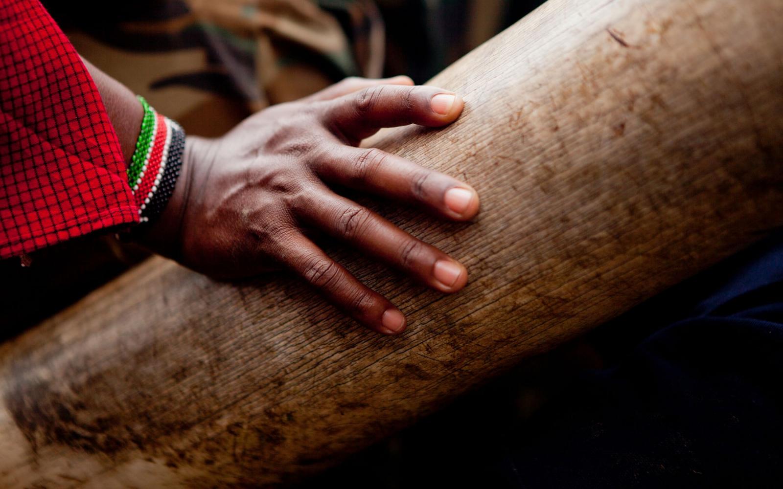 Main de David Leto, officier en charge de la protection des éléphants pour le WWF Kenya, Masai Mara, Kenya