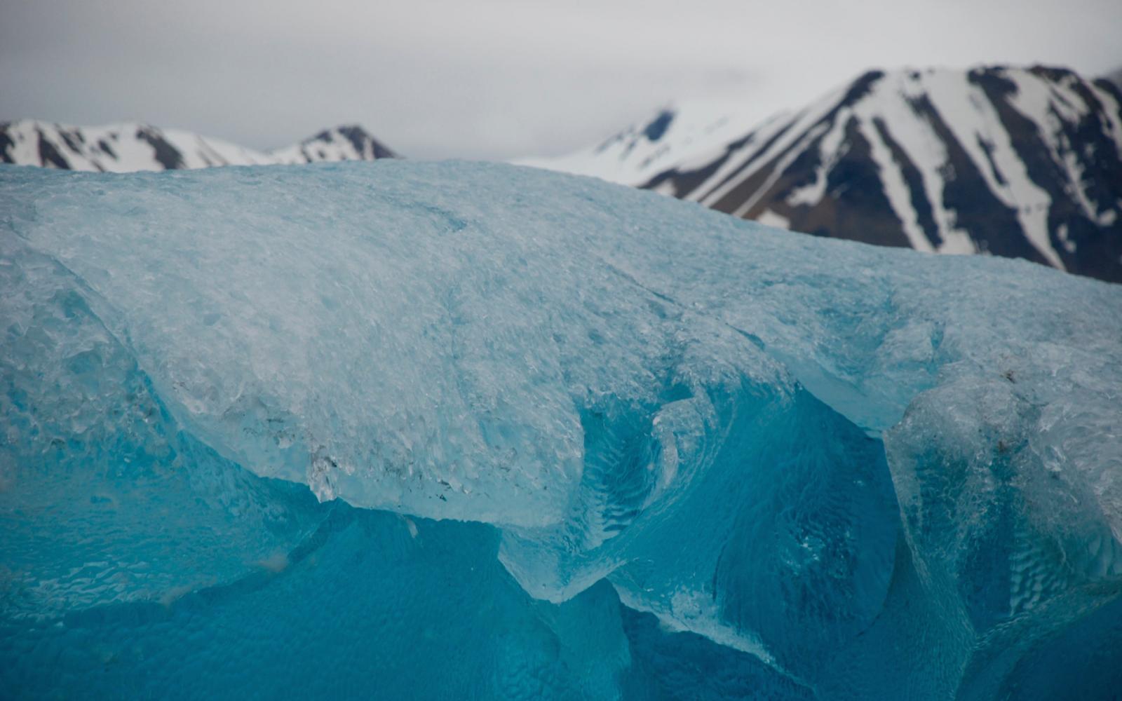 Svalbard (Norvège)