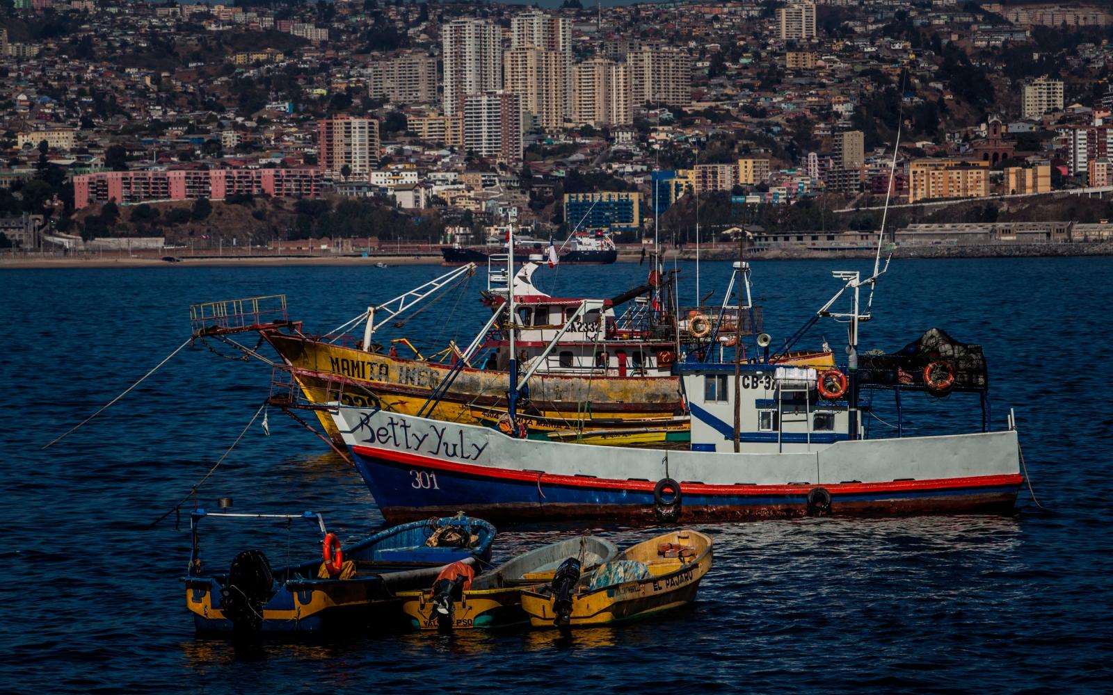Bateaux de pêche artisanale au Chili