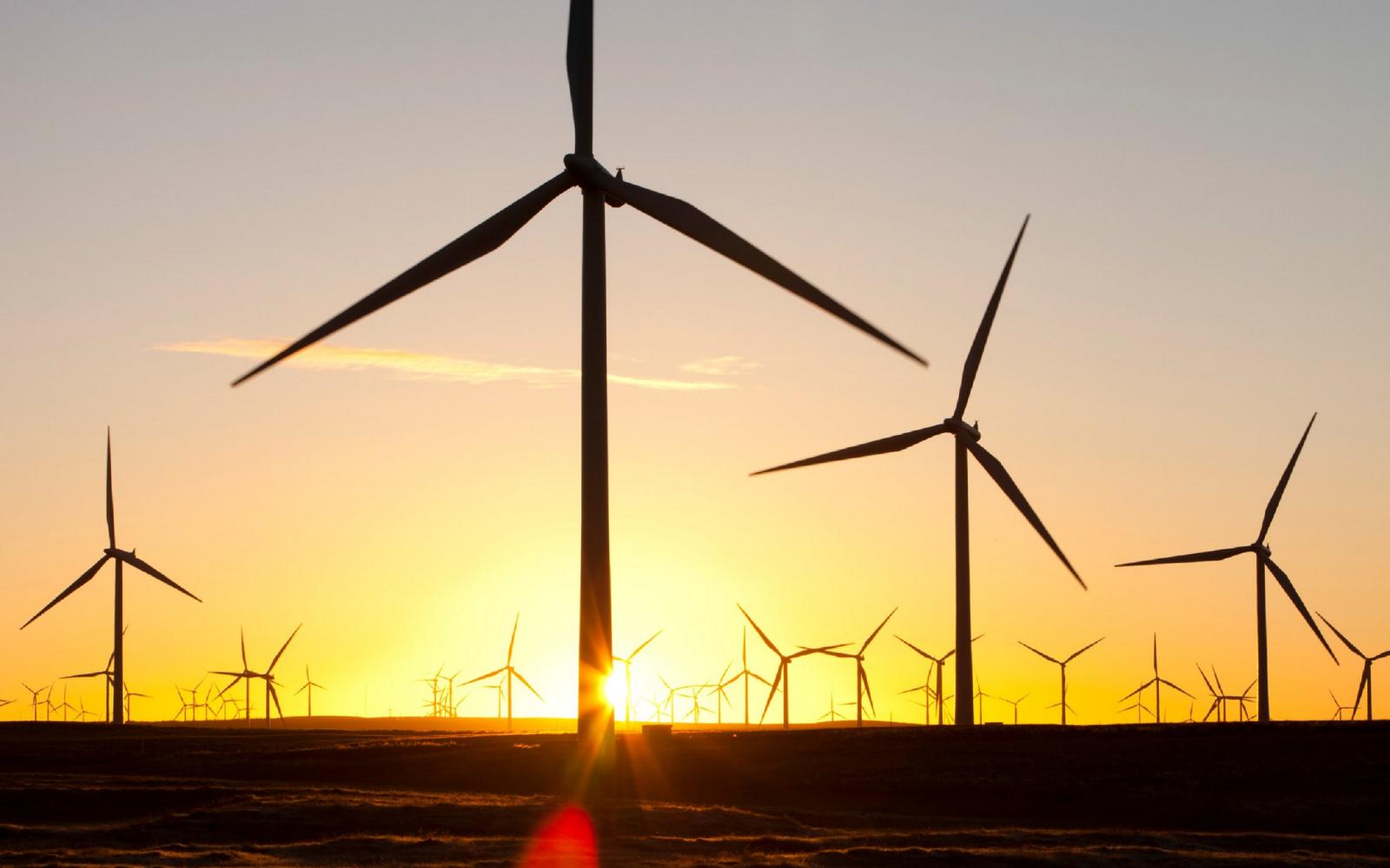 Plus grande ferme éolienne d'Europe en Ecosse