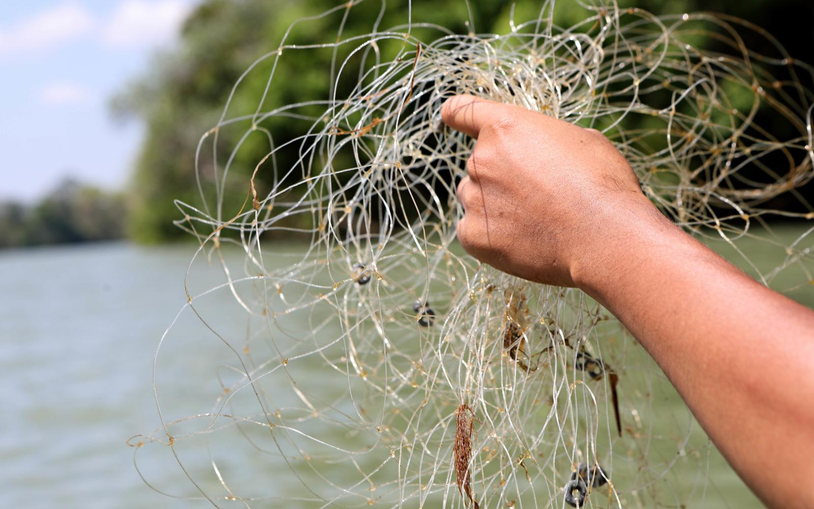 Un ranger sort de l'eau un filet de pêche installé illégalement au Cambodge