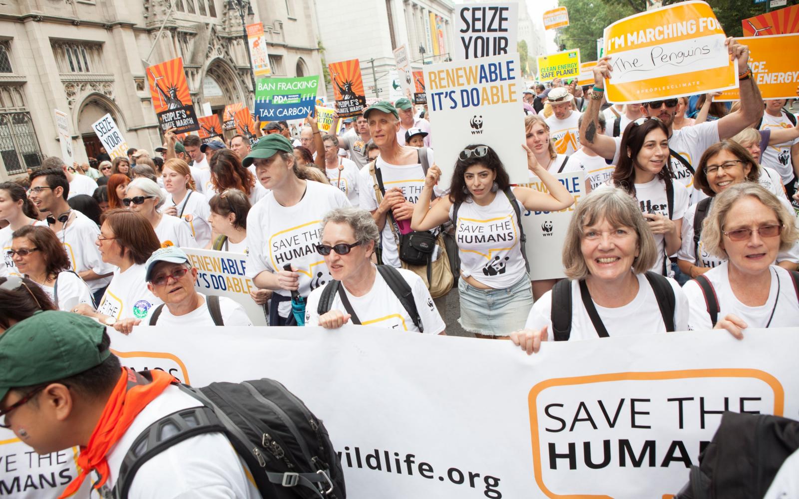 Marche Climat New York
