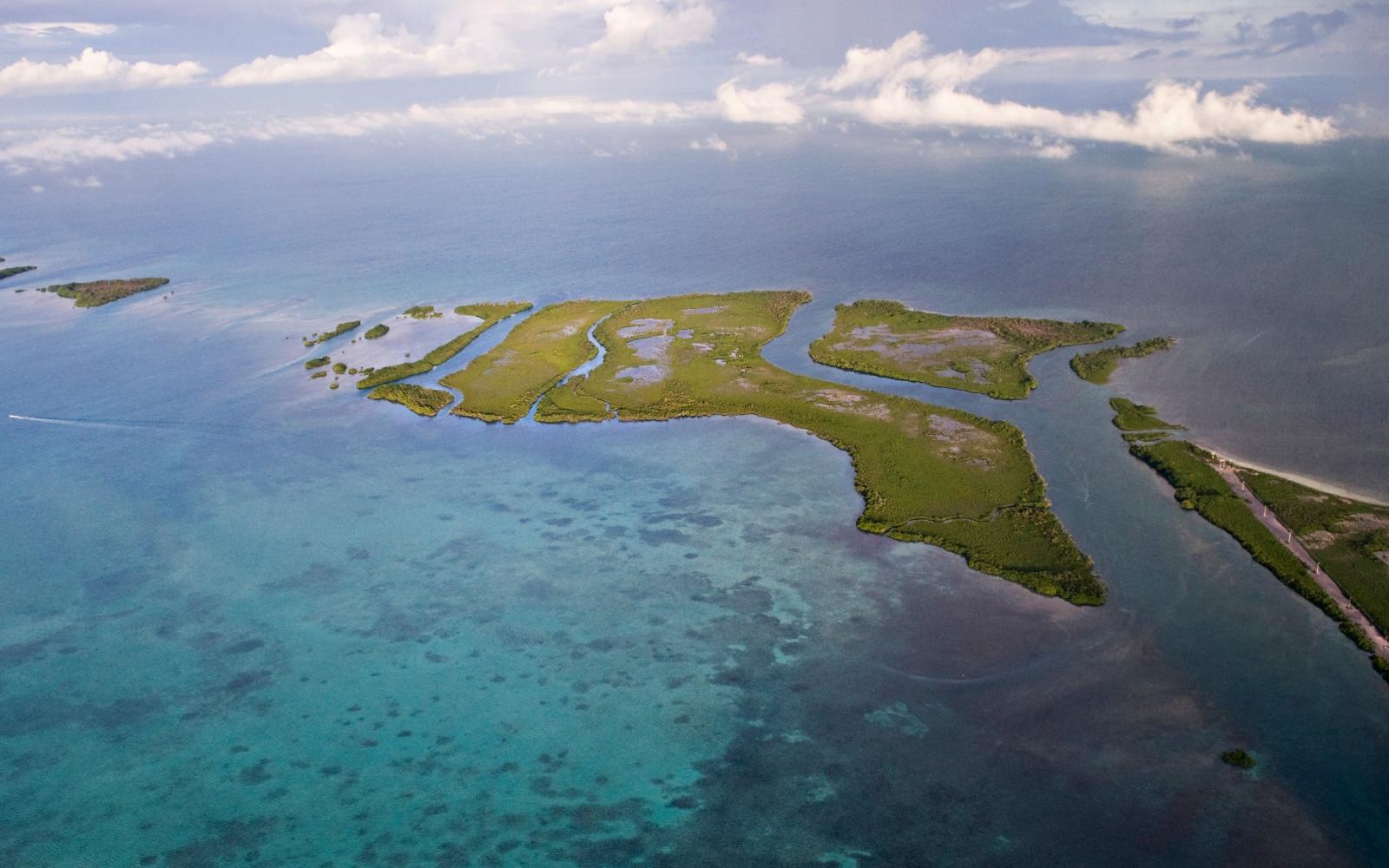 Vue aérienne des mangroves au Belize