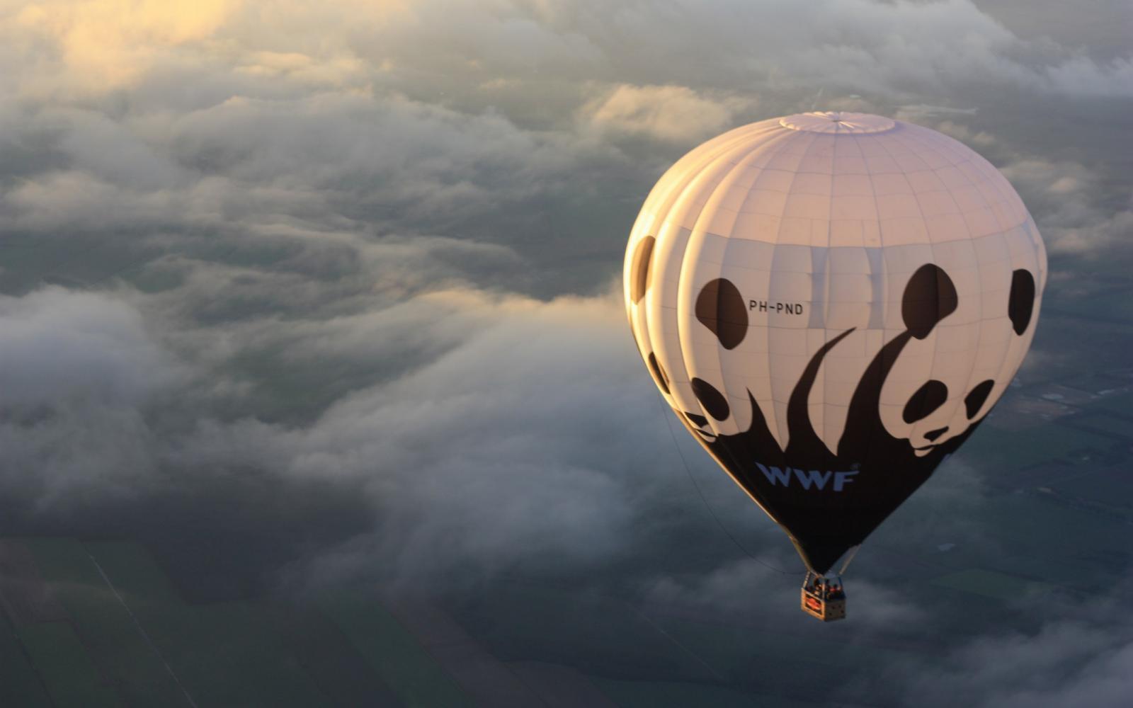 Montgolfière WWF dans les airs