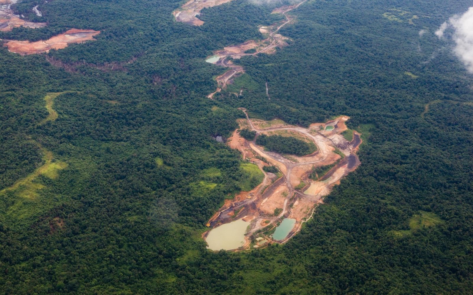 Vue aérienne de la déforestation dans le Kalimantan oriental (Indonésie)