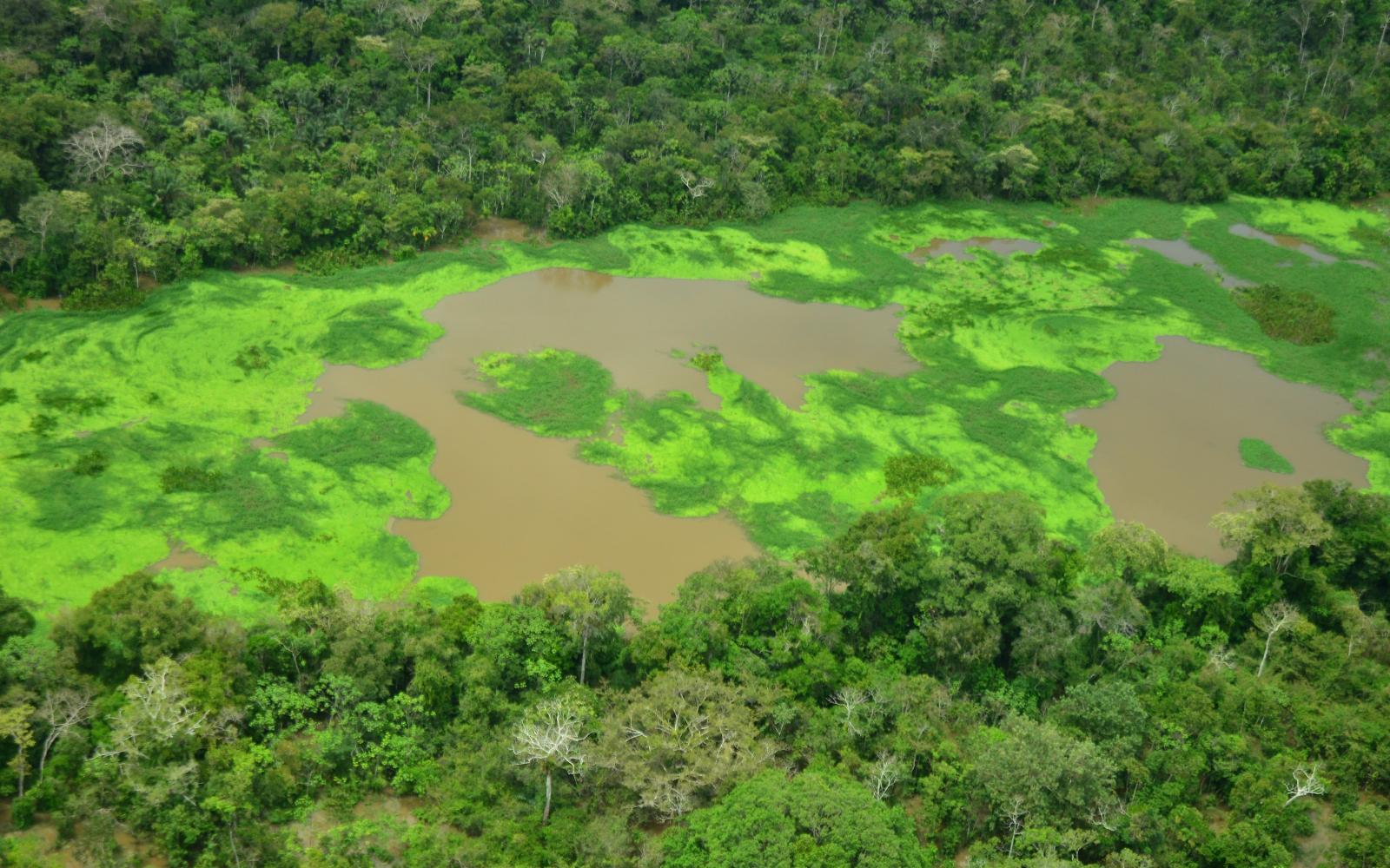 Vue aérienne du lac Tarapoto en Amazonie du Nord 