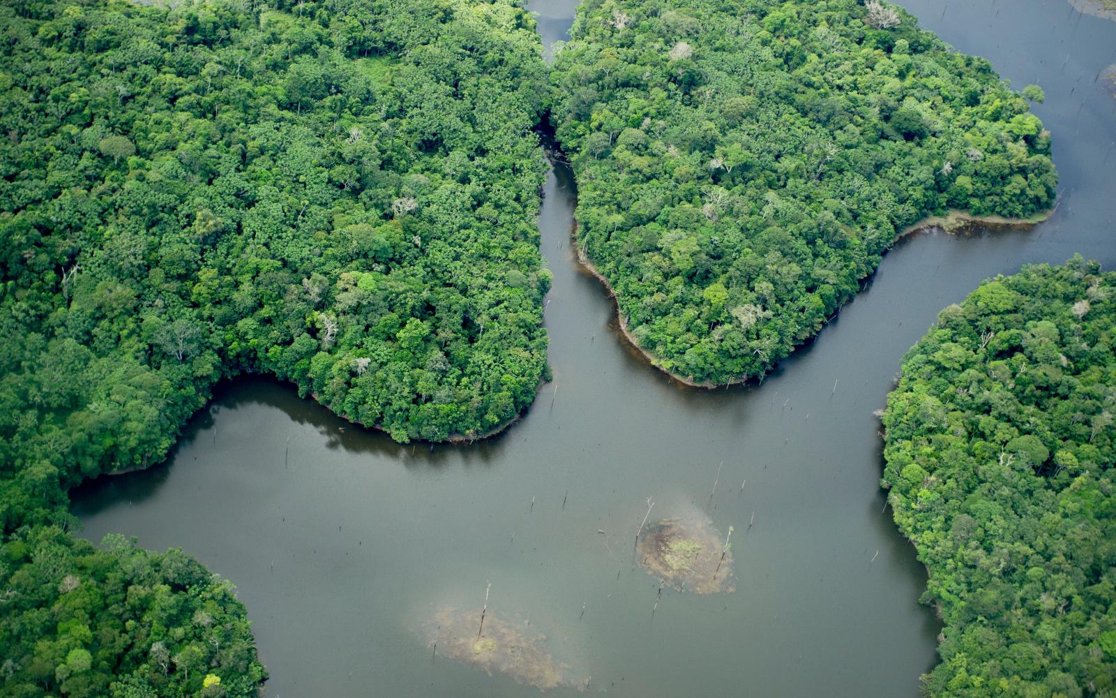Vue aérienne de la réserve biologique d'Uatuma dans l'état de l'Amazonas, Brésil