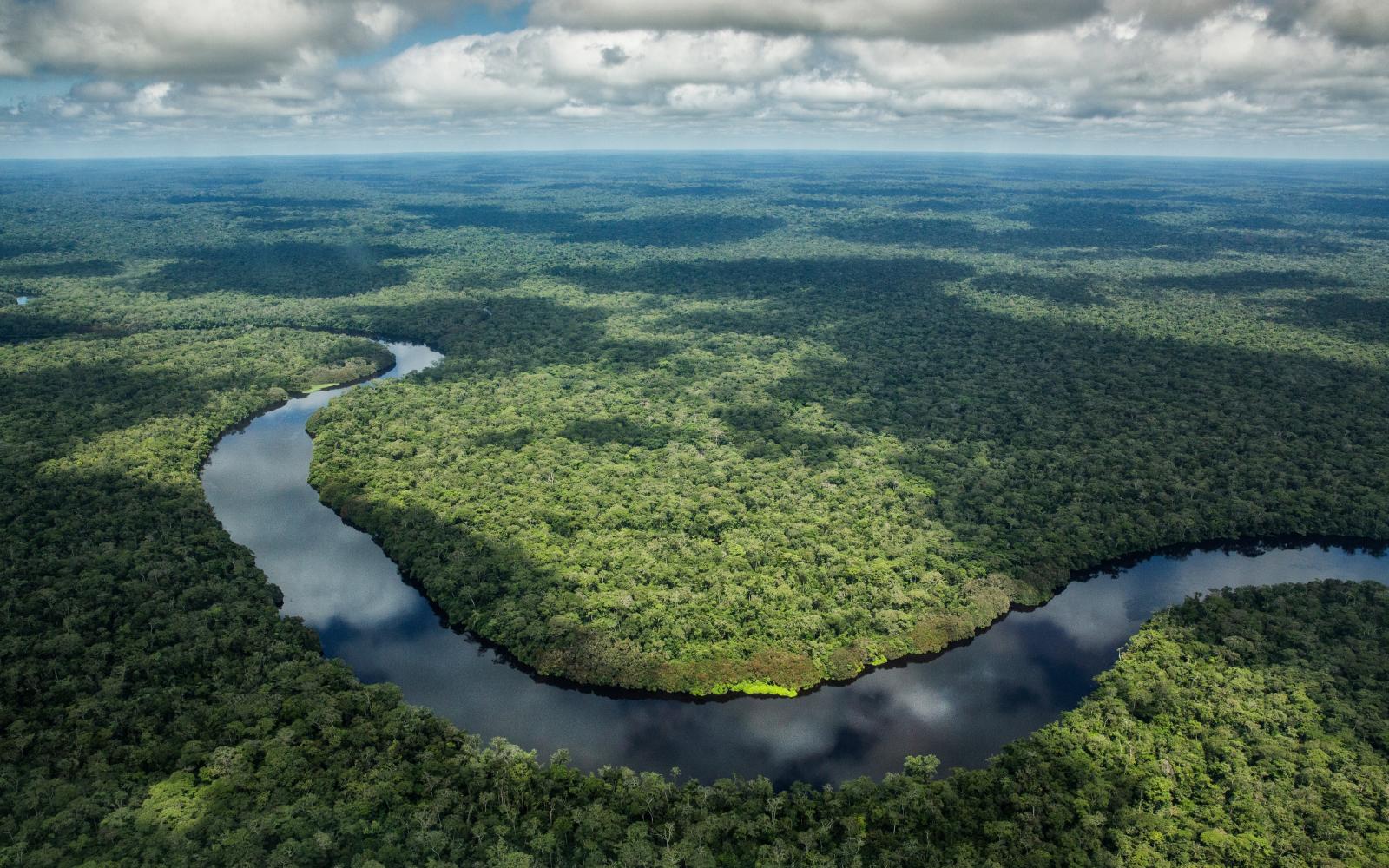 Vue aérienne de la rivière Luilaka au cœur du Parc National de Salonga, République Démocratique du Congo