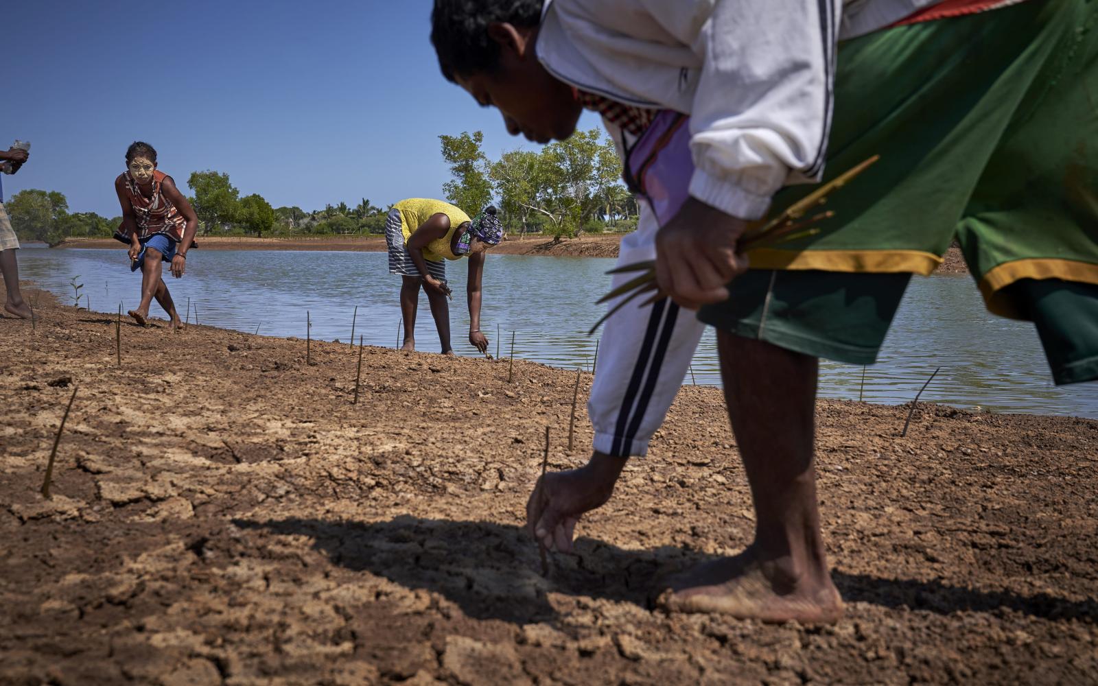 Trois personnes replantent des propagules de palétuvier à Manambolo (Madagascar)