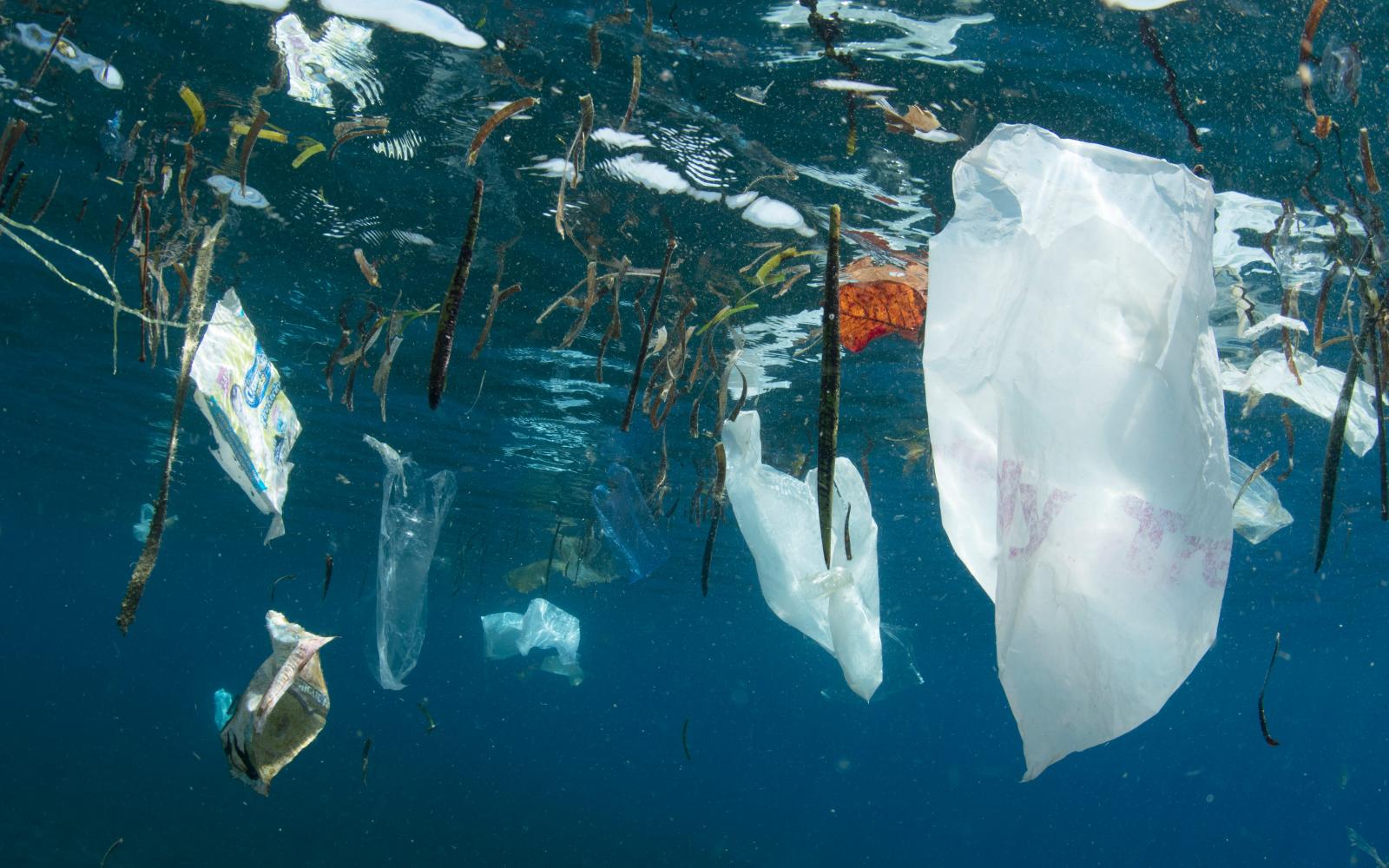 Du plastique dans l'océan