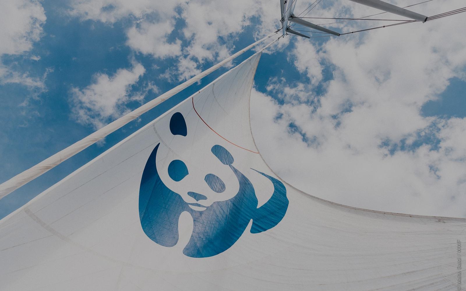Le Blue Panda : notre voilier pour préserver la Méditerranée