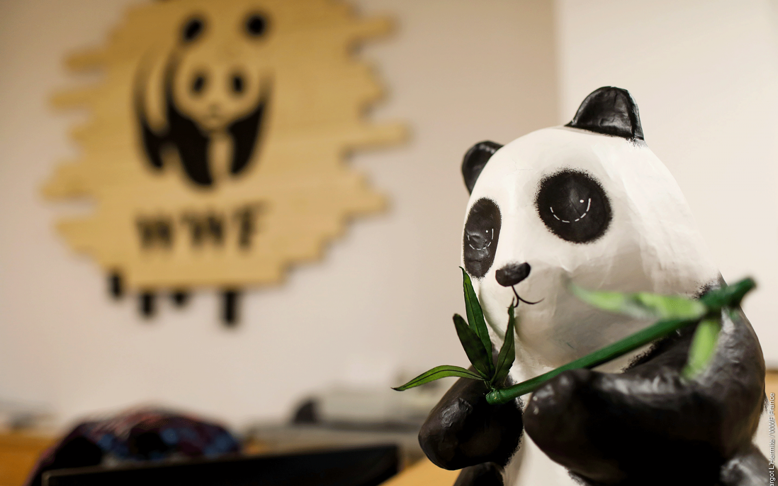 La figurine du panda dans les locaux du WWF France