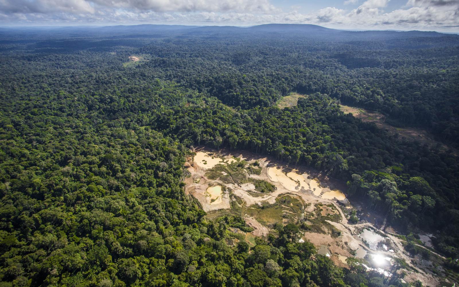 Un site d'orpaillage illégal en Guyane