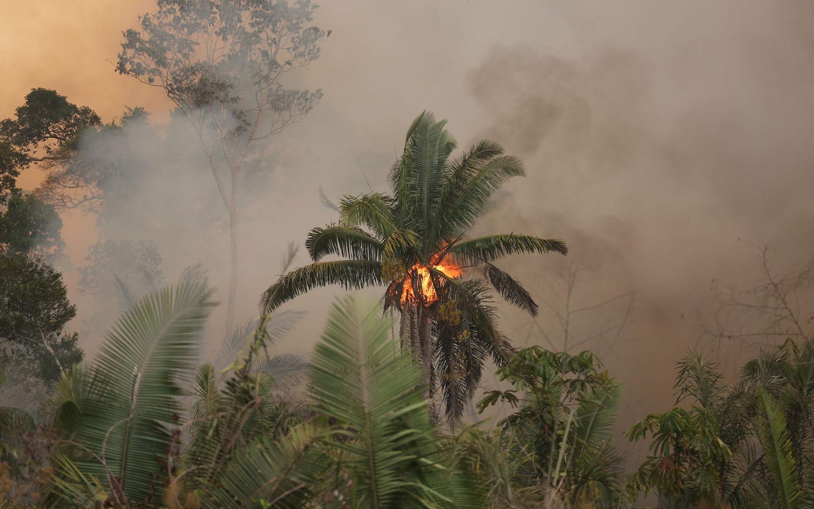 Près de Porto Velho (Brésil), les feux issus de la déforestation ravagent la forêt amazonienne.