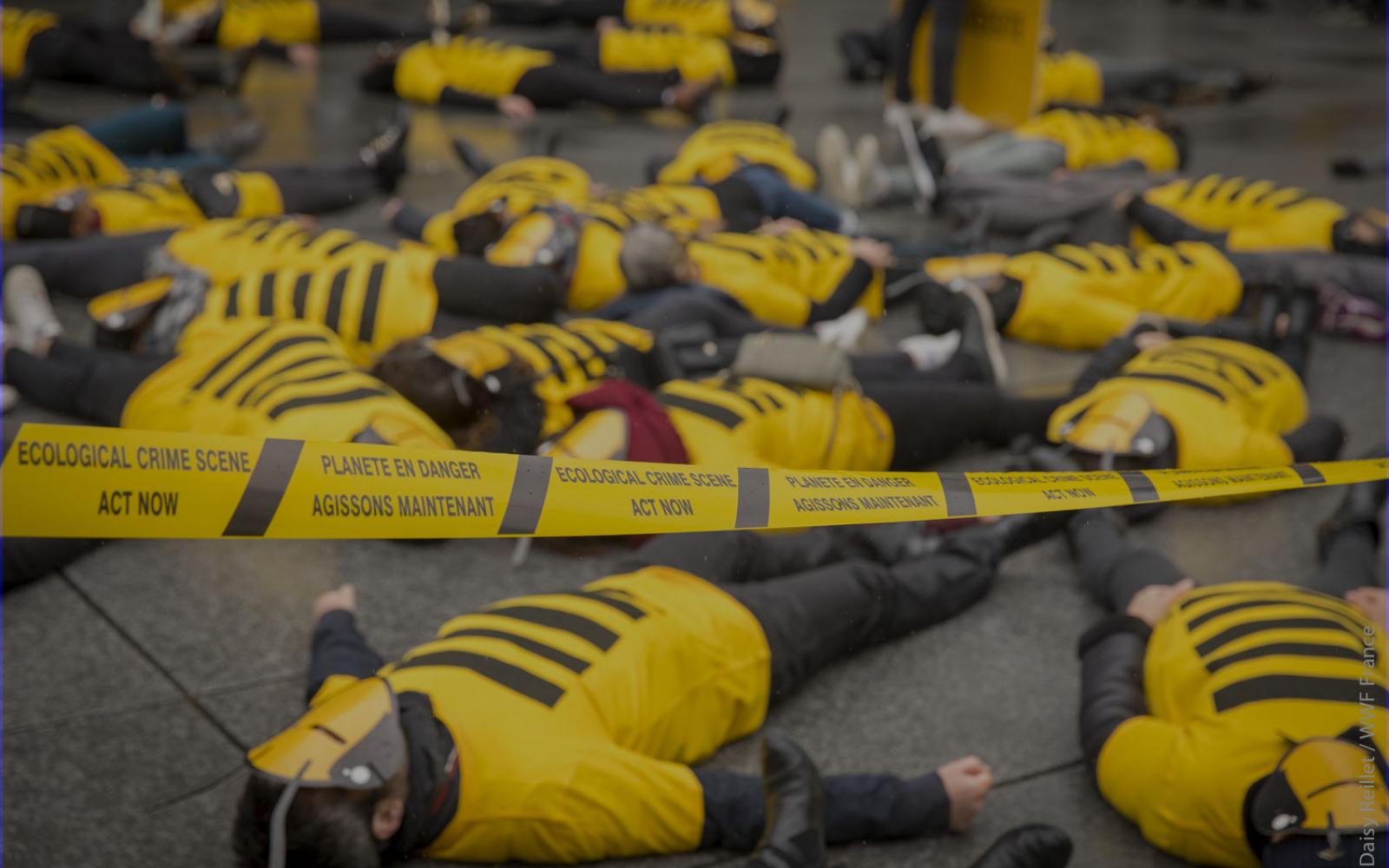 Des bénévoles du WWF France allongés à terre lors du Die In organisé à l'occasion de la sortie du rapport de l'IPBES en 2019