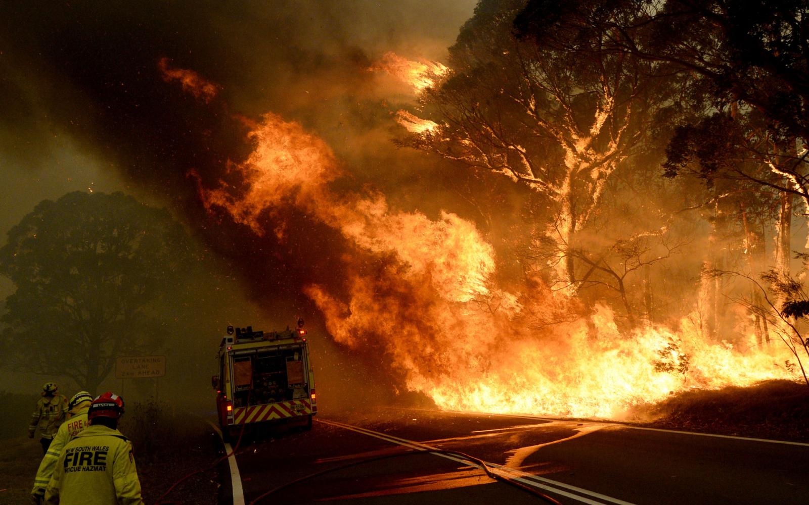 Le 19 décembre 2019, une brigade de pompiers est menacée par les flammes qui s'approchent d'une route, Bilpin, Nouvelle-Galles du Sud, Australie.