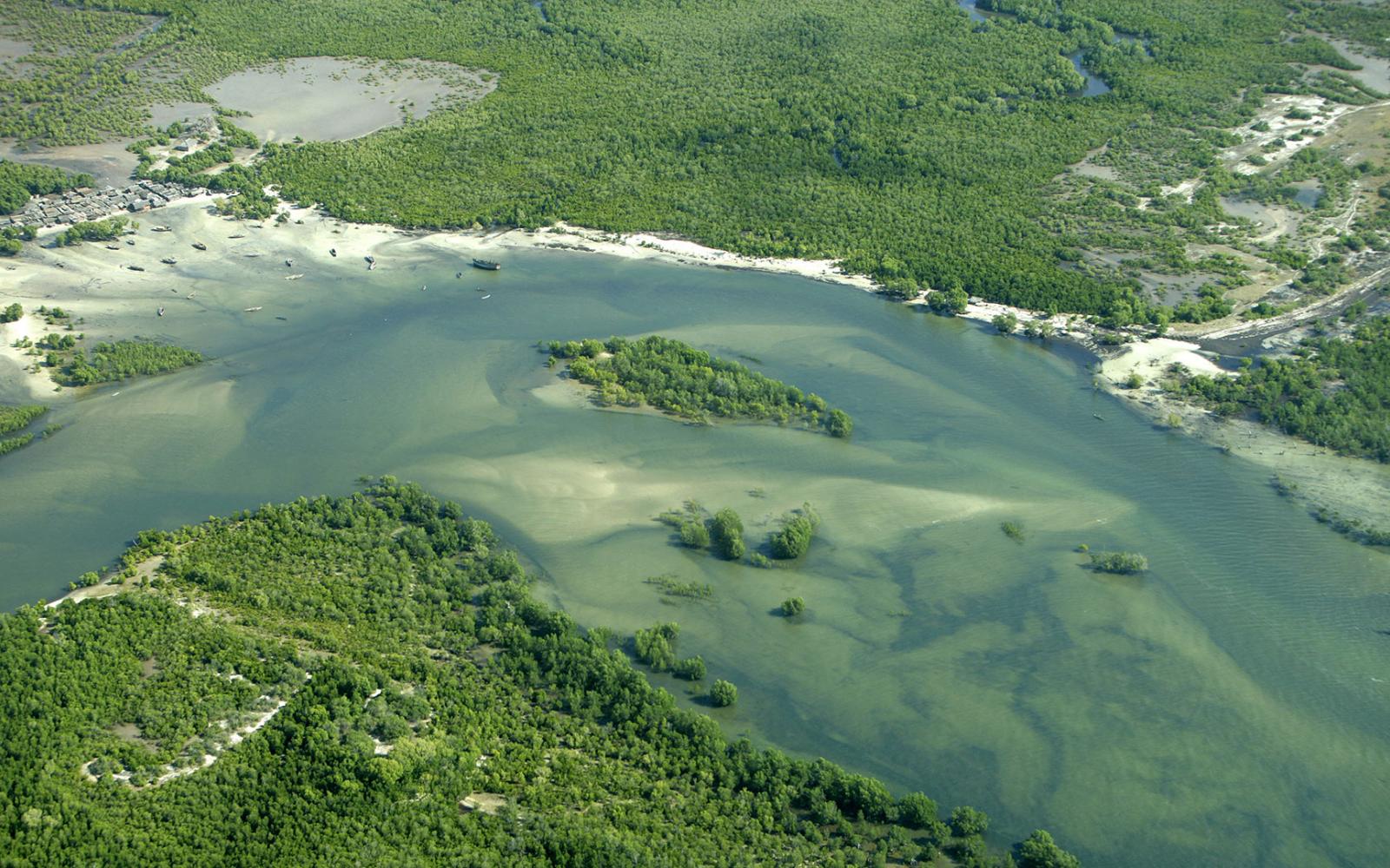 Photo aérienne du delta Rufiji, Tanzanie