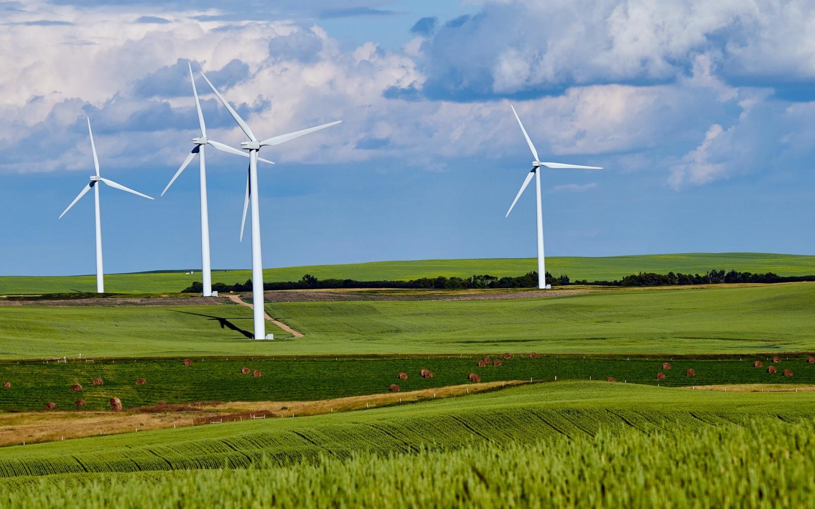 Des éoliennes dans un champ