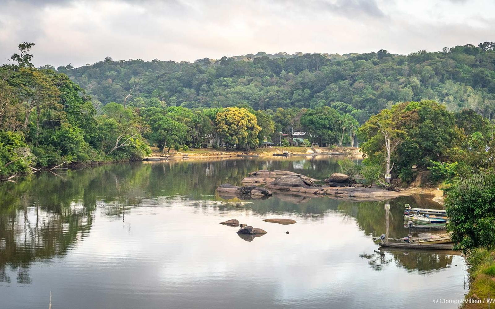 Le Plateau des Guyanes