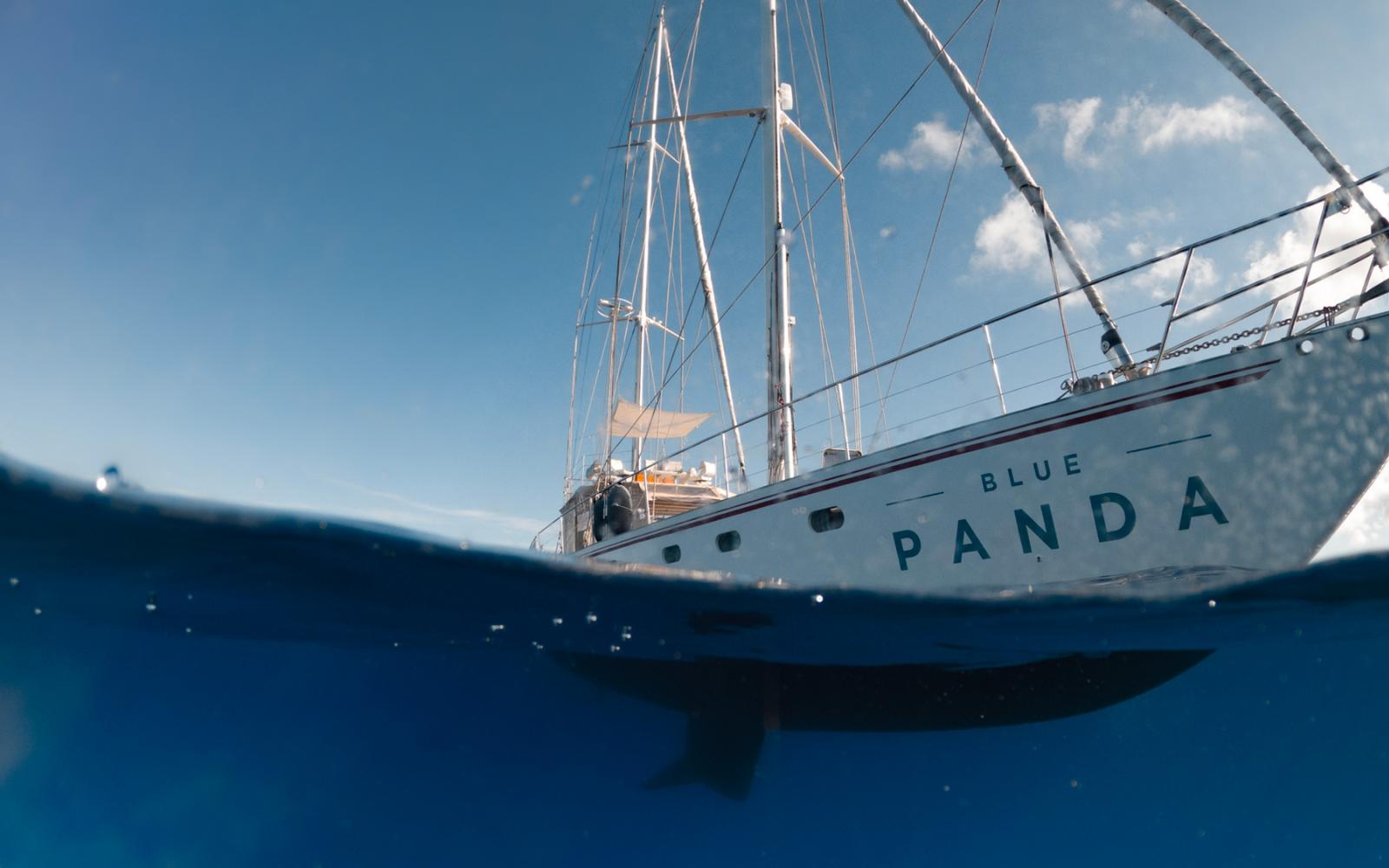 Le Blue Panda en Méditerranée