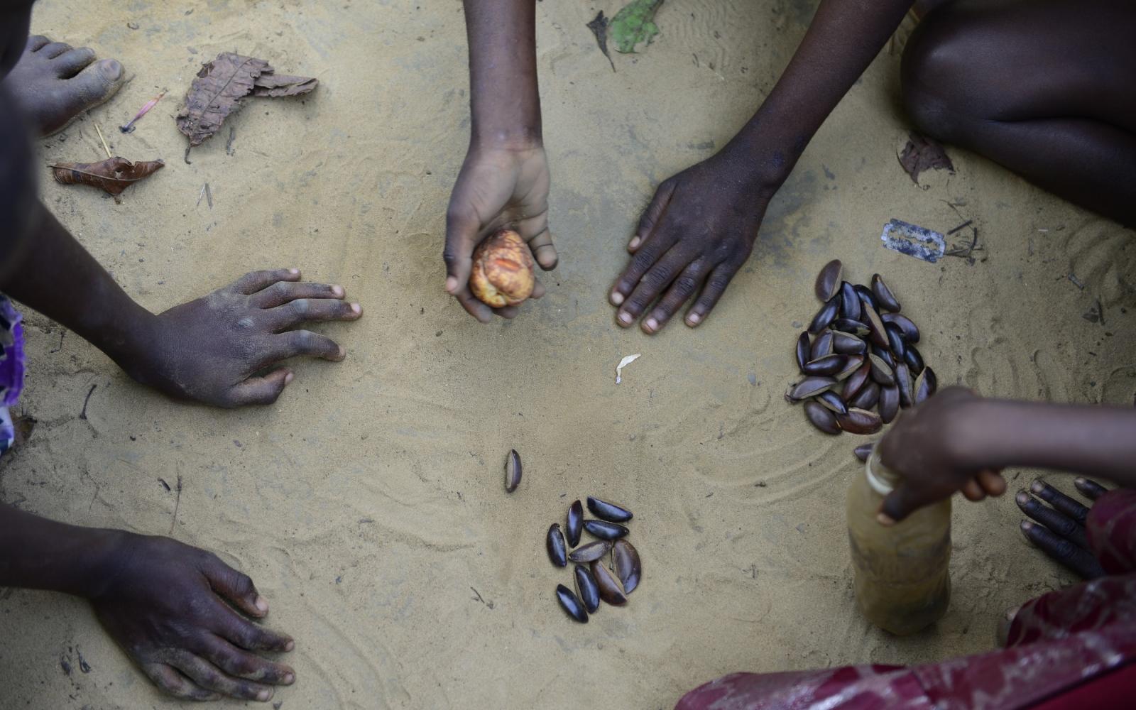 Le WWF travaille dans la région de Mai Ndombe en RDC sur un programme de sensibilisation auprès des communautés pour limiter la déforestation (REDD+)