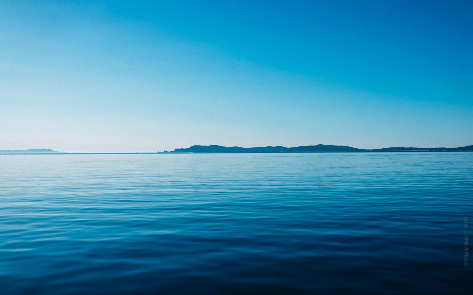 Mer Méditerranée - horizon bleue - cap cétacés 2019