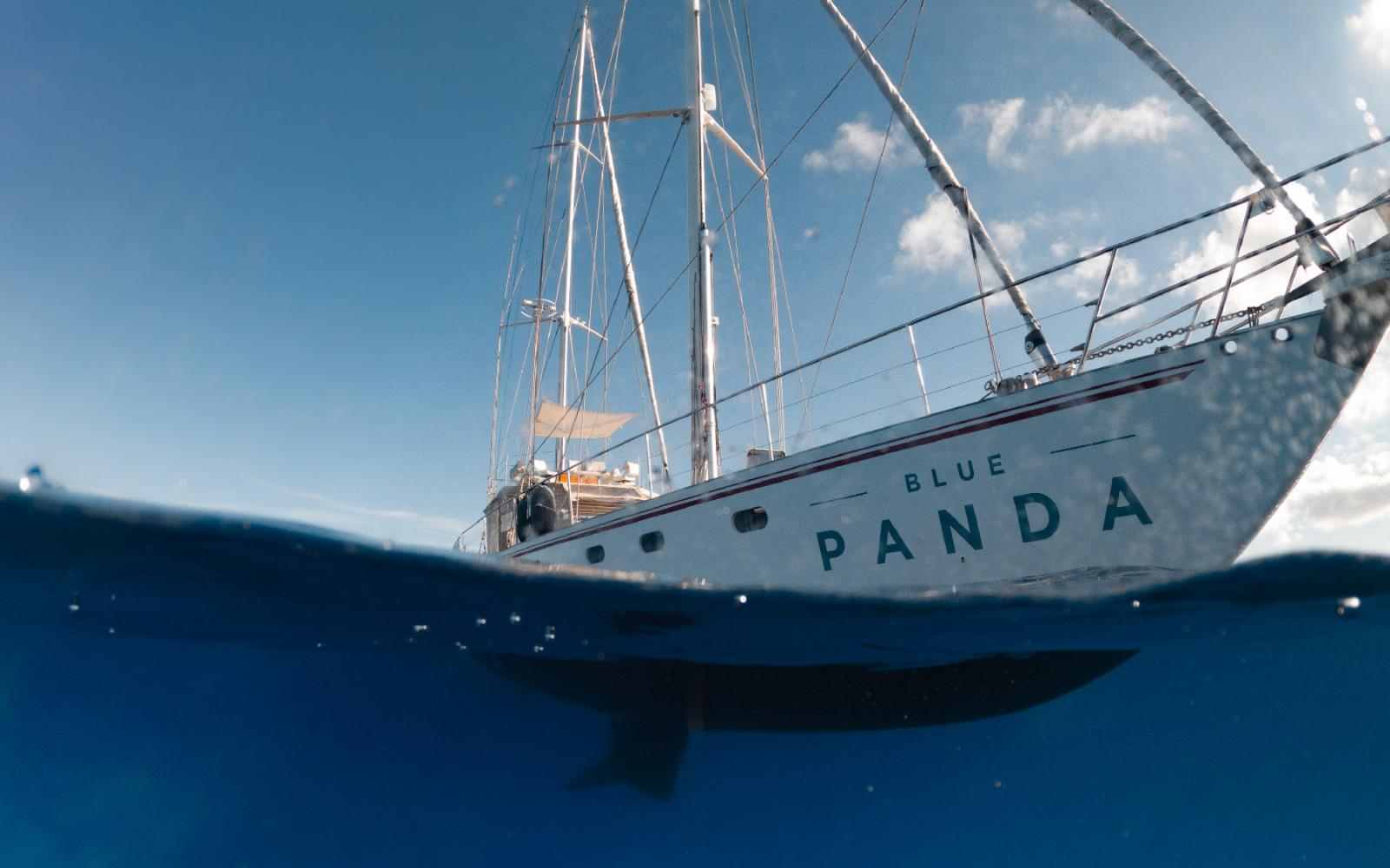 Blue Panda en mer 