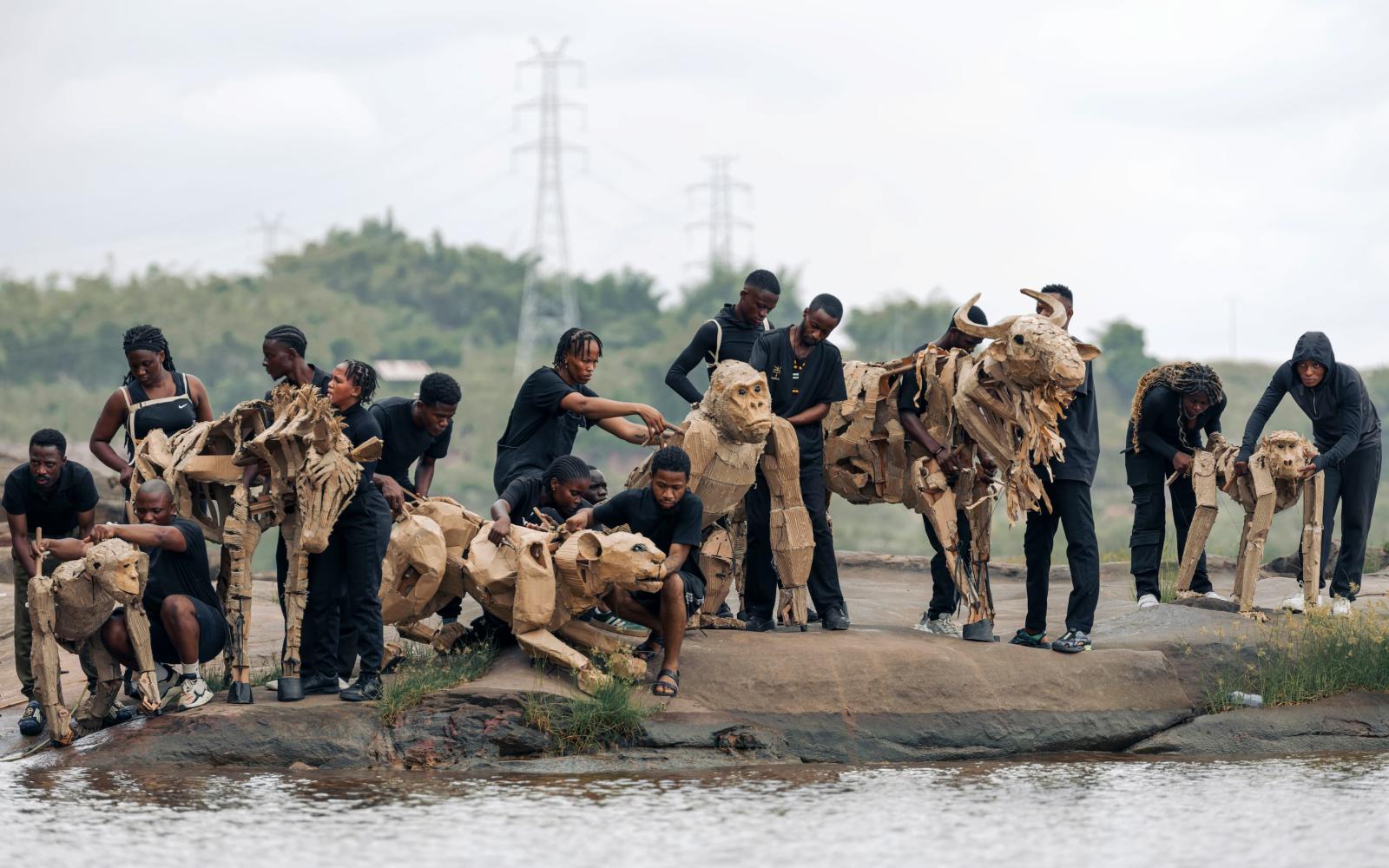 THE HERDS Kinshasa - Congo Basin (c) Berclaire for The Walk Productions