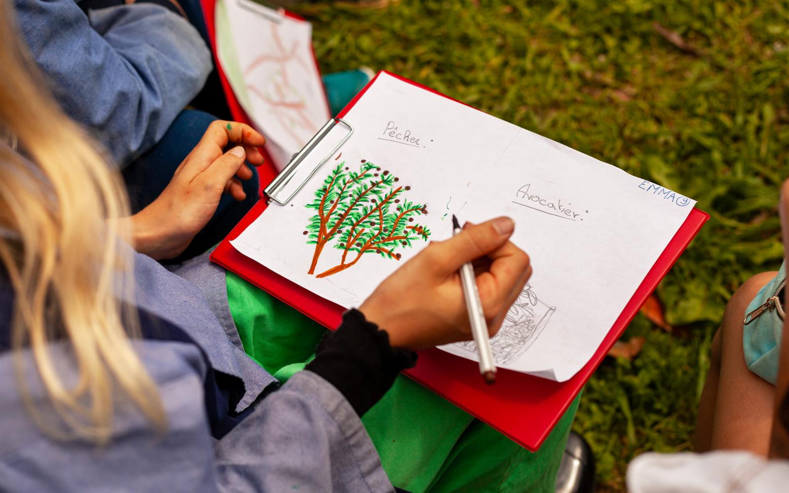 Enfants dessine des arbres en classe dehors