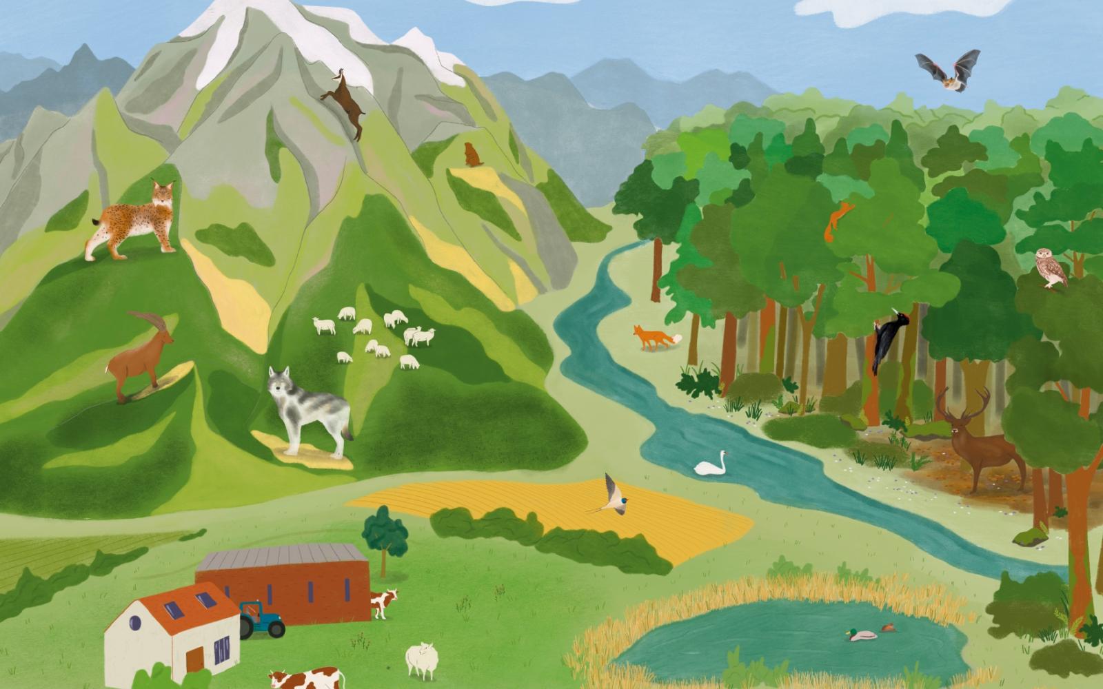 Header France Biodiversité Jeunesse