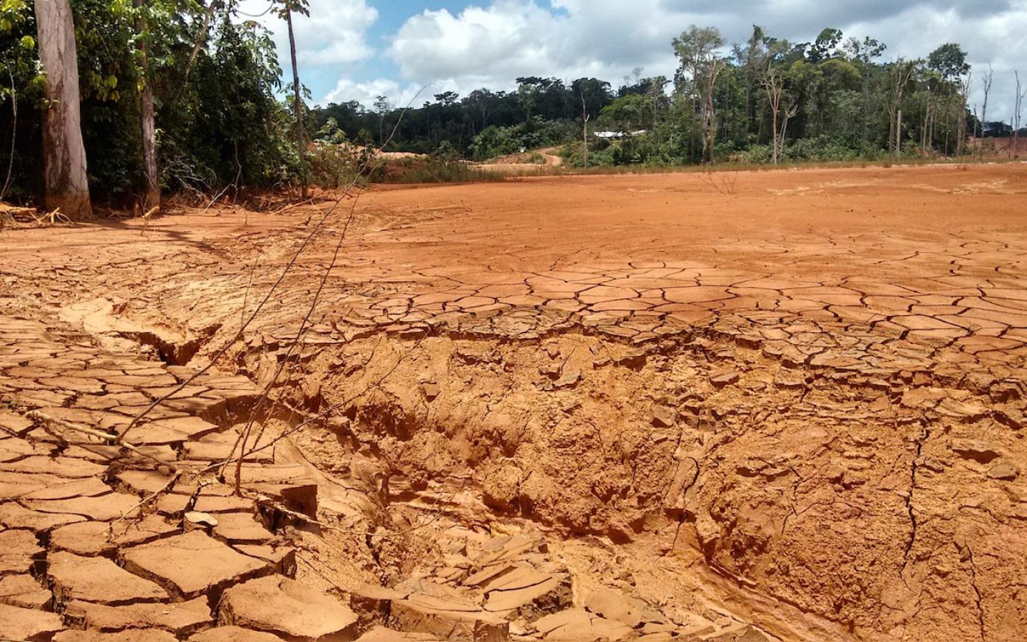 Terres asséchées en Guyane