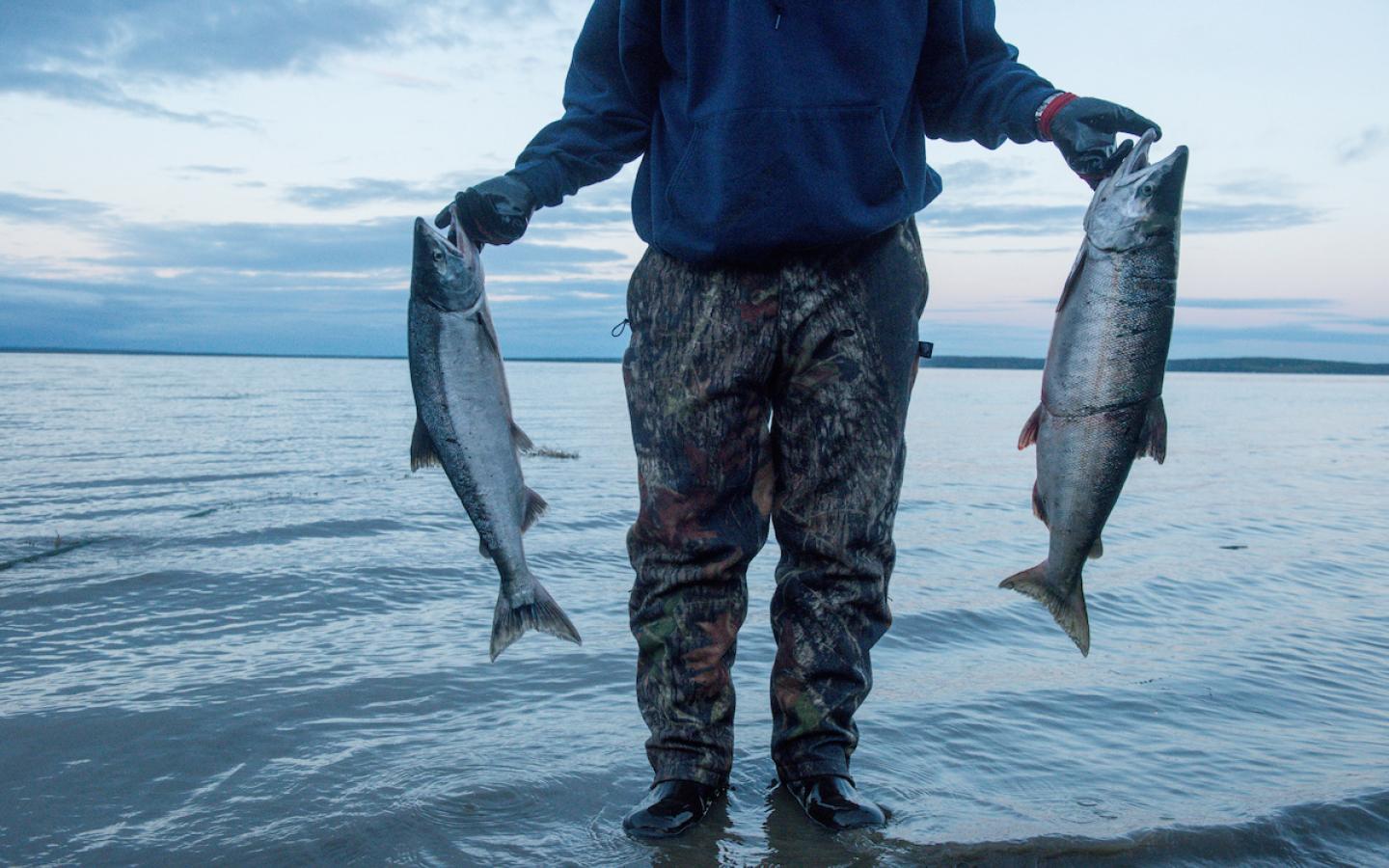 Pêche de subsistance, baie de Bristol, Alaska (Etats-Unis)