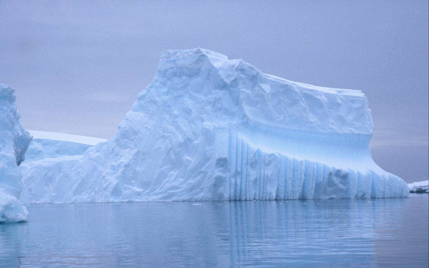 Iceberg en Antarctique