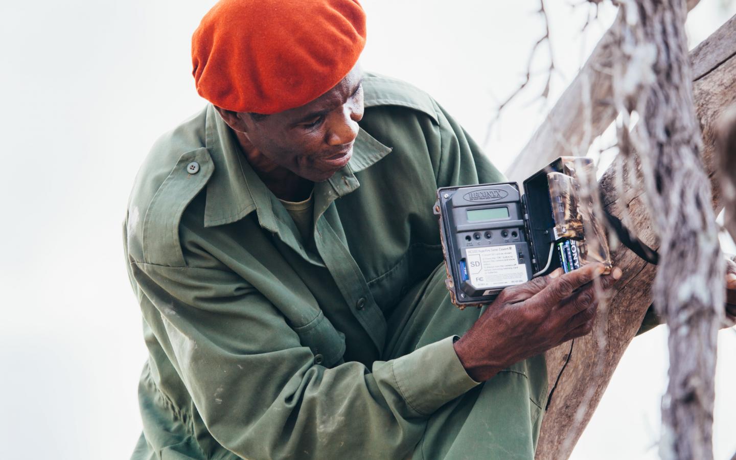 Ranger posant une caméra trap dans une réserve en Tanzanie pour prévenir du braconnage