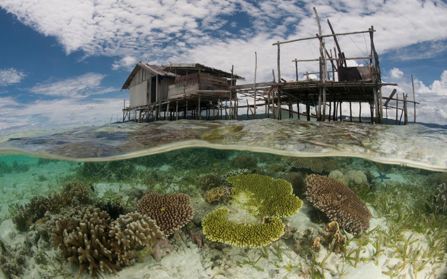 Maison sur pilotis en Papouasie Occidentale (Indonésie)