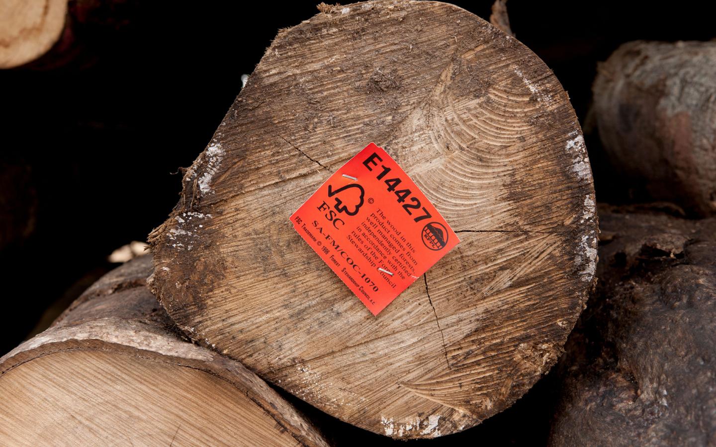 Bois certifié FSC de l'entreprise Kolombangara Forest Products Limited, Iles Salomon