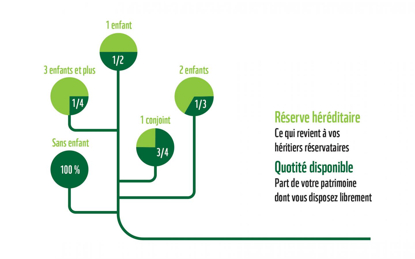 Graphique réserve quotité legs
