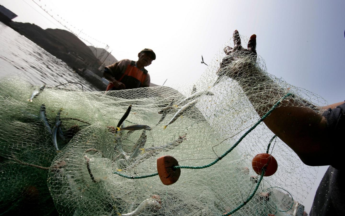 Pêcheurs qui ont remonté leur filet près de Lima au Pérou