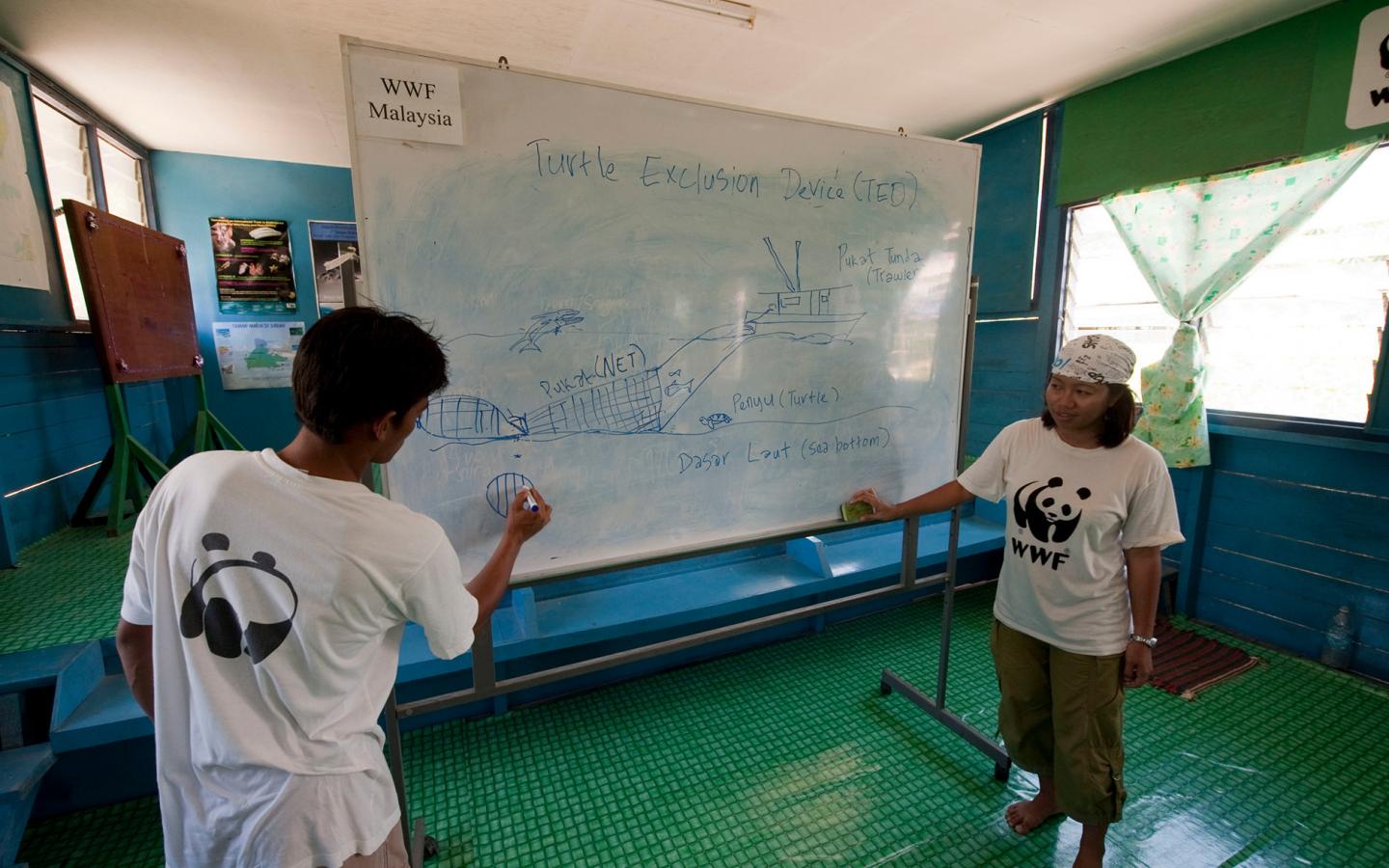 Employés du WWF Malaisie présentant le système TED à des volontaires locaux