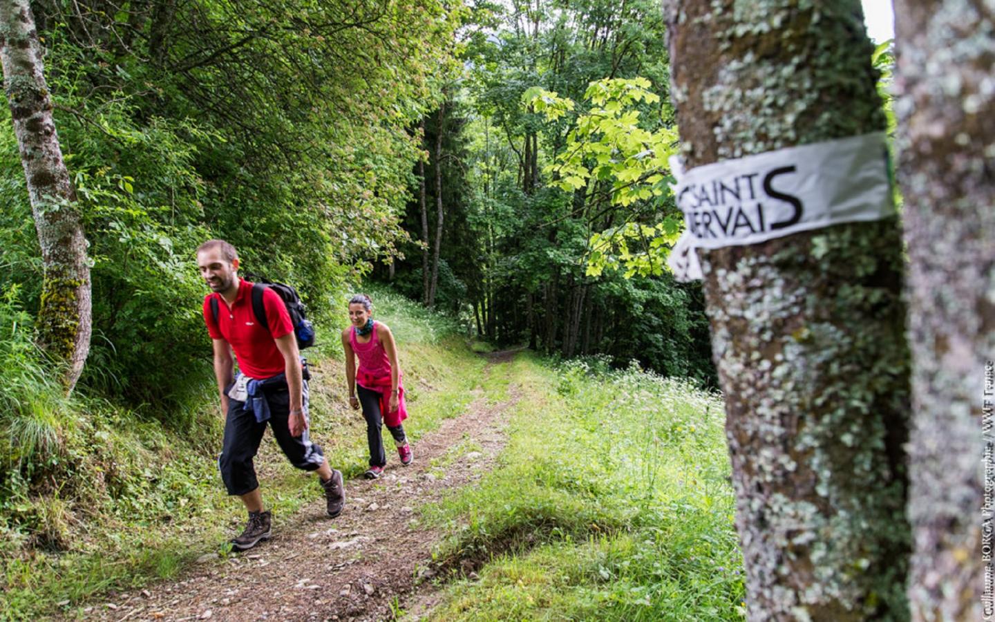 Participants au Pandathlon dans le massif du Mont Blanc (France)