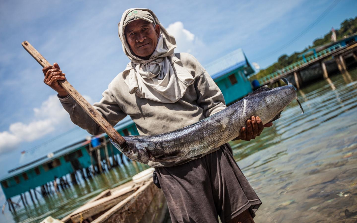 Pêcheur malaisien (Malaisie)