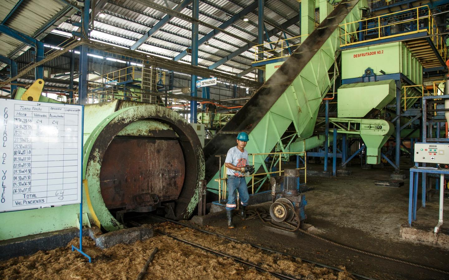 Agrocaribe, une entreprise du Guatemala qui a reçu le certificat RSPO