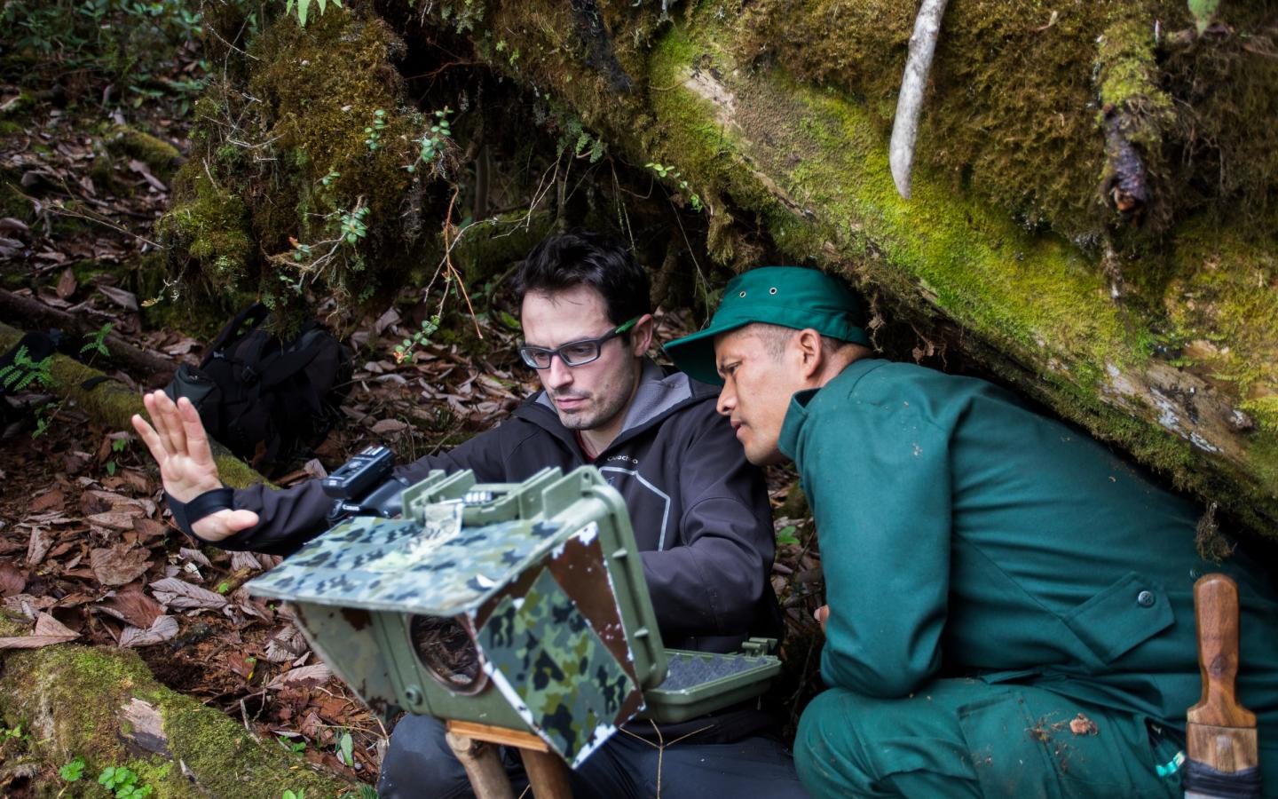 Emmanuel Rondeau and Dorji Duba, ranger, devant un camera trap censé prendre des photos du tigre (Bhutan)