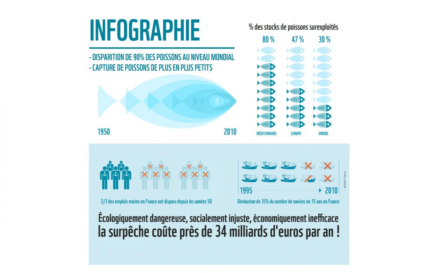Infographie sur la pêche et la surpêche dans le monde