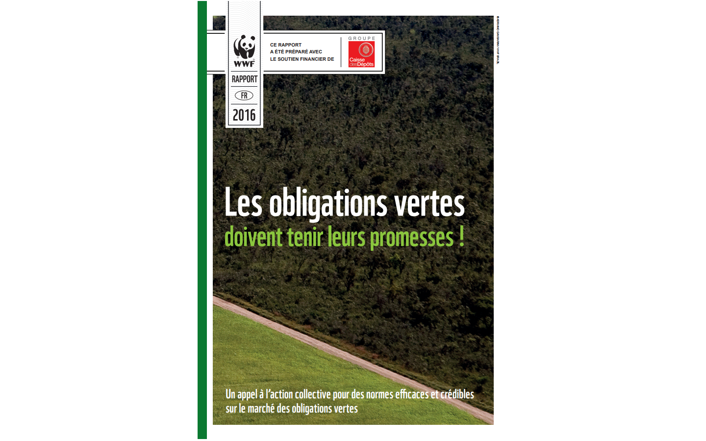 Couverture rapport "Les obligation vertes doivent tenir leurs promesses"