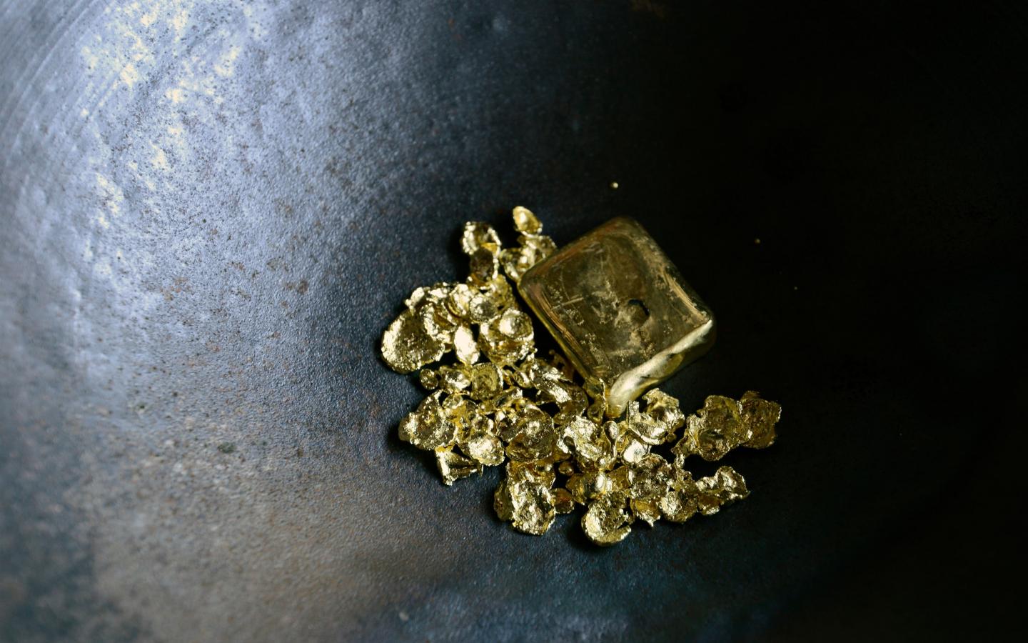 Pépites d'or extraites d'une mine dans l'état du Para (Brésil)
