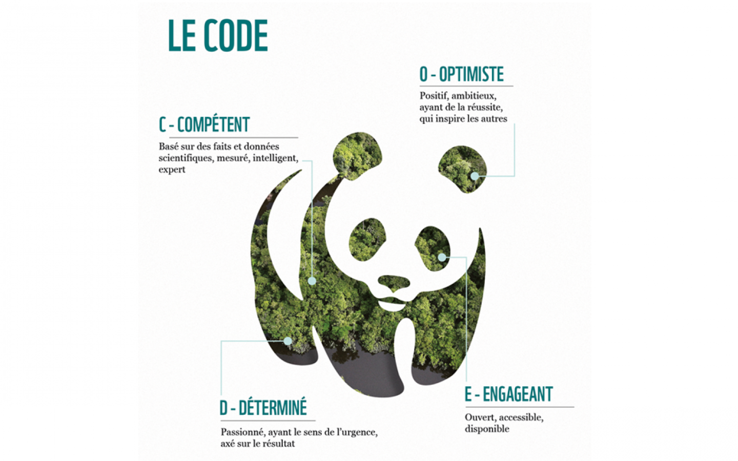 Le CODE WWF