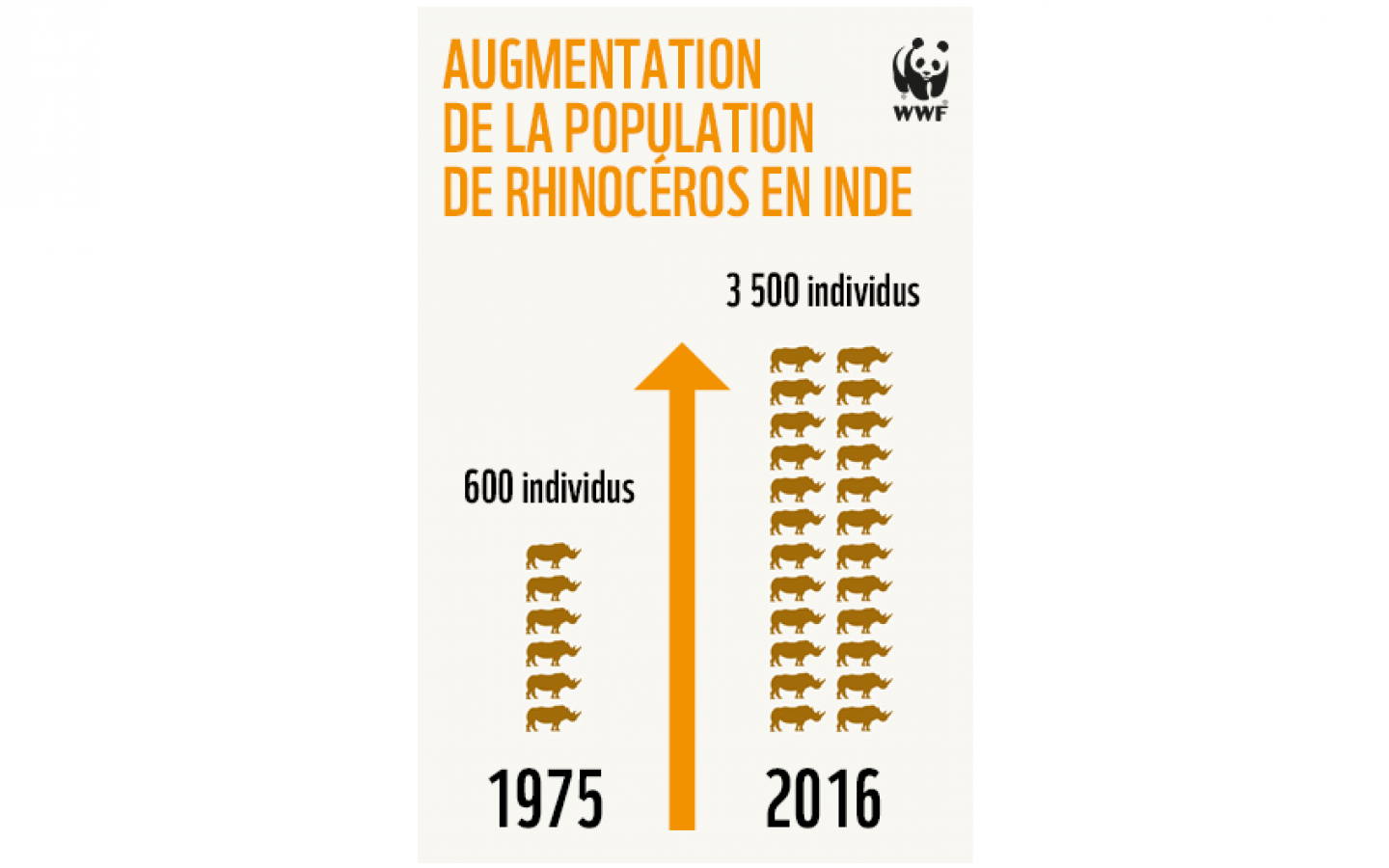 Statistiques augmentation de la population de rhinocéros en Inde